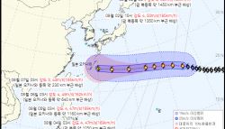 '루사·매미급' 초강력 태풍 돌핀…다음 주 한반도 윤곽