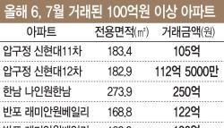 증세 앞에 멈춰선 30억 부동산 시장…갈 길 가는 100억 ‘그사세' 아파트