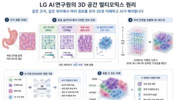 LG 엑사원, 신약 개발 모델 고도화...엔젠바이오·디앤디파마텍과 사업화 속도