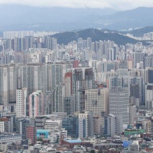 컷뉴스