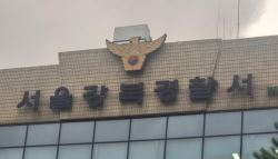 오토바이·담벼락 들이받고 도주한 운전자…'마약 6종' 양성