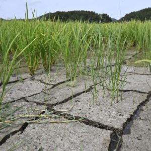 경남 저수율 33.5% '전국 최저'…국가소방동원령 발령