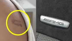 “등에 벤츠 낙인" 뙤약볕 달궈진 좌석 로고에 '화상'