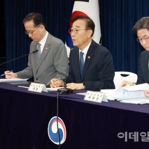 "월세 대신 빌라 사라"는 정부…‘징검다리’ 될까, 발목 잡힐까