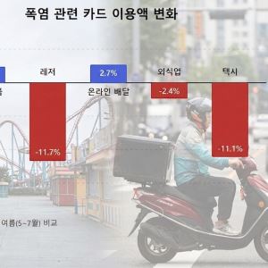 [단독]"놀이공원에 발길 끊었다"…폭염이 바꾼 소비지도