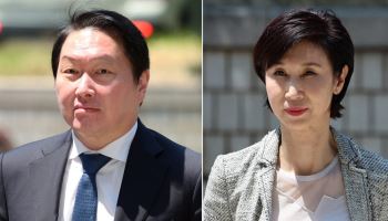 [속보]최태원, '노소영 9440억원 지급' 재상고…대법 판단 받는다