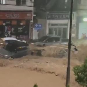 "회사도 잠겼대요"...'물폭탄'에 마비된 거제 상황