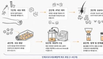 메디포스트, 큐스템과 모유두세포배양액 CDMO 계약…대량생산 지원