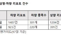 삼전닉스에 무슨 일이…목표가 하향으로 분위기 역전