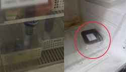 환자 발가락이 왜 냉장고에…서울 요양병원 ‘충격'
