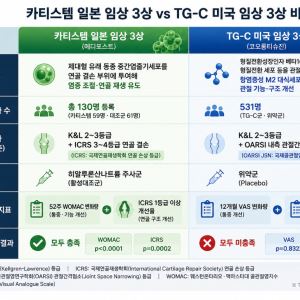 인보사는 난항, 카티스템은 성공…최대 난제 ‘통증’이 희비 갈랐다