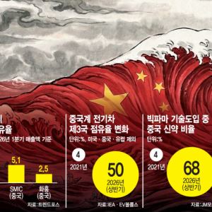 전기차는 이미 중국판, 반도체 공급망도 새판짜기 속도