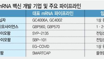 모더나 주가 177% 띄운 암백신에 ‘mRNA’ 주목…K바이오도 수혜 입을까