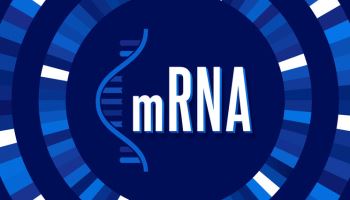 암 치료제 맞춤형 mRNA 시대 열리나...업계 ‘들썩’[클릭, 글로벌 제약·바이오]