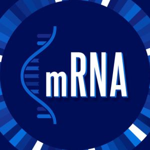 암 치료제 맞춤형 mRNA 시대 열리나...업계 ‘들썩’[클릭, 글로벌 제약·바이오]