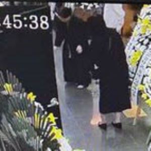 컷뉴스