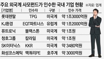 PEF 167조로 커졌는데…토종 중소운용사 고사할 판