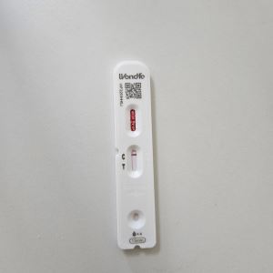 컷뉴스