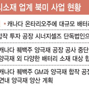 美·캐나다 관세전쟁에 車·배터리 긴장…북미 공급망 균열 우려
