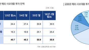 [마켓인]해외 사모신용 투자 55조 돌파…보험·은행 리스크 전이 살펴야