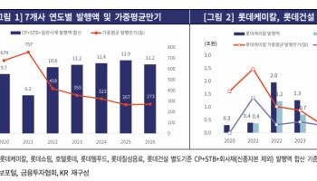 [마켓인]롯데그룹 부채성 자본조달 4.3조…“자금부담 현실화 가능성”