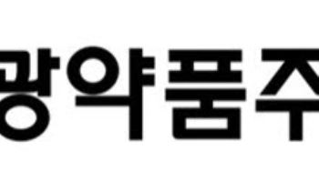 부광약품 "자회사 한국유니온제약, 회생절차 공식 종결"