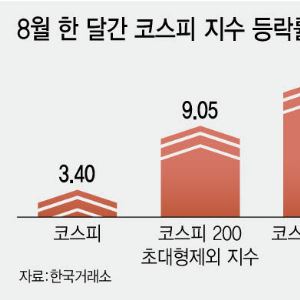 삼전닉스 내려도 코스피 올랐다…증시 공식 흔들