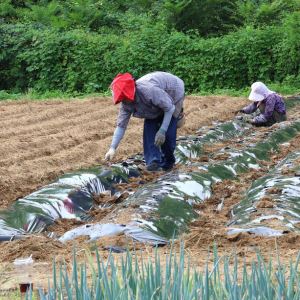 [단독]농어민 대신 갚은 돈 4400억…못 받은 돈 ‘3조’ 쌓였다