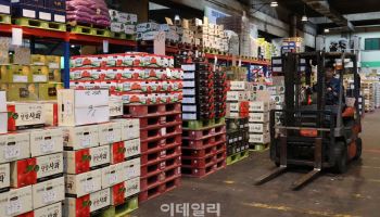 추석 성수품 출하