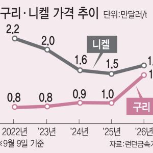 AI발 수요 증가에 금값 된 구리…트럼프관세 공포에 사재기 극성