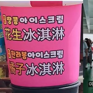 “여기 한국 맞나”…중국인 관광객 차지한 제주 우도, 무슨 상황?