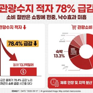 "쇼핑만 하다 가네"…관광수지 적자 1년 새 78% 줄었다