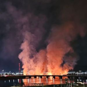 '축구장 5개 면적' 억새 군락지 방화범 집유..이유는 '심신미약'