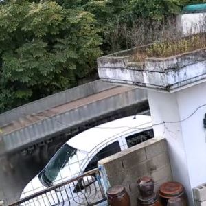 "일주일만 쓸 건데…" 파주 카페 사장, 냉동창고 주문하며 한 말