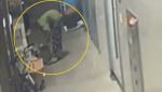 새벽마다 사라진 계란 한 판…CCTV 확인하고 '말문 턱' [영상]