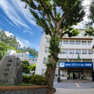 추석 울릉 뱃길 최대 30% 할인…귀성객 운임 지원 재개