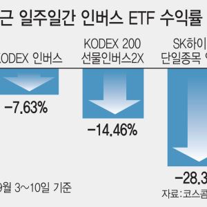 칠천피 못 믿는 개미들…하락에 3000억 태웠다가 ‘와르르’