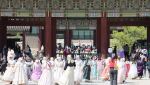 "11년 만에 돌아온 '실버위크' 황금연휴…日 관광객 몰려온다"