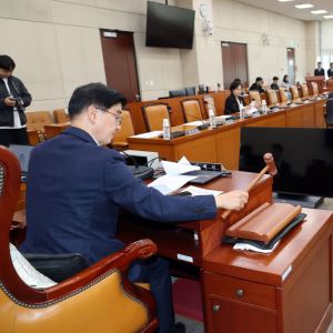 '성폭력 등 보완수사' 중수청법 개정안, 행안소위서 與주도 통과