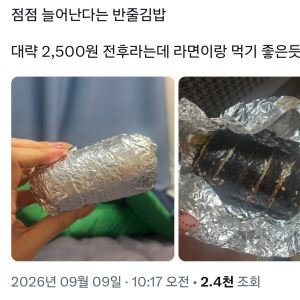 "점심값 너무 비싸"…2500원 '반줄 김밥'까지 등장