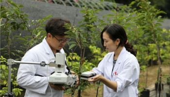 "자격증 하나로 월 500만원" 은퇴족 열광 '나무의사'…합격률 '23%'