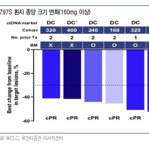 보로노이, 내성 폐암 환자 6명 모두 종양 40% 이상 감소[인베스트 바이오]