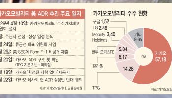 자회사 상장, 누구를 위한 것인가…카카오가 던진 '주주가치'