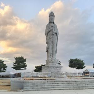 컷뉴스
