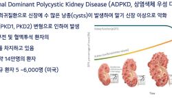 메지온, 신장병 신약에 별도 ‘가격표’…美법인 세워 M&A까지 노린다