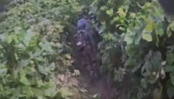 DMZ 지뢰사고 현장조사 돌입…軍·유엔사, 폭발지점 인근까지 접근