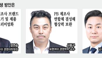 "중소 제조사엔 기회, R&D 차별화로 프리미엄에 집중을"
