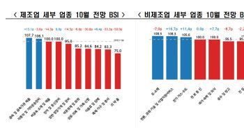 10월 기업 경기 전망 다시 나빠졌다…제조업 심리 위축