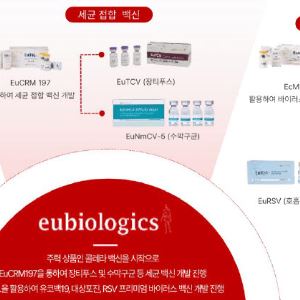 '장티푸스 200억-·수막구균 1000억'…유바이오로직스, ‘포스트 콜레라 캐시카우’ 시동