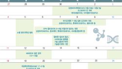 펩트론, 릴리 답변 기다린 2년…DDS 후속계약·임상 발표 기대감[바이오 월간맥짚기]